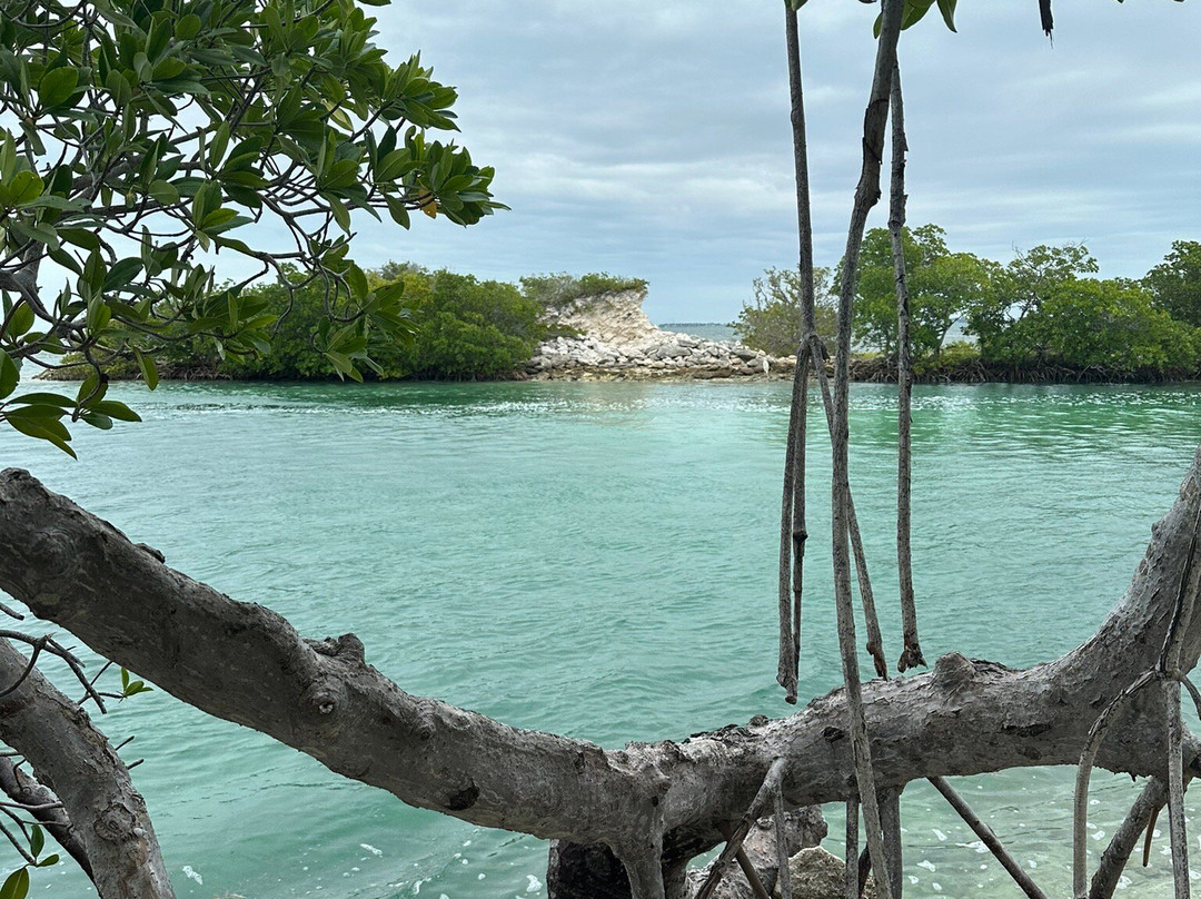 FUNKEY CHARTERS-基韦斯特必去景点