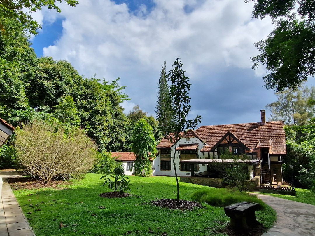 Chek Jawa-乌敏岛必去景点