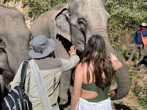 Le Cher Elephant Home-清迈必去景点