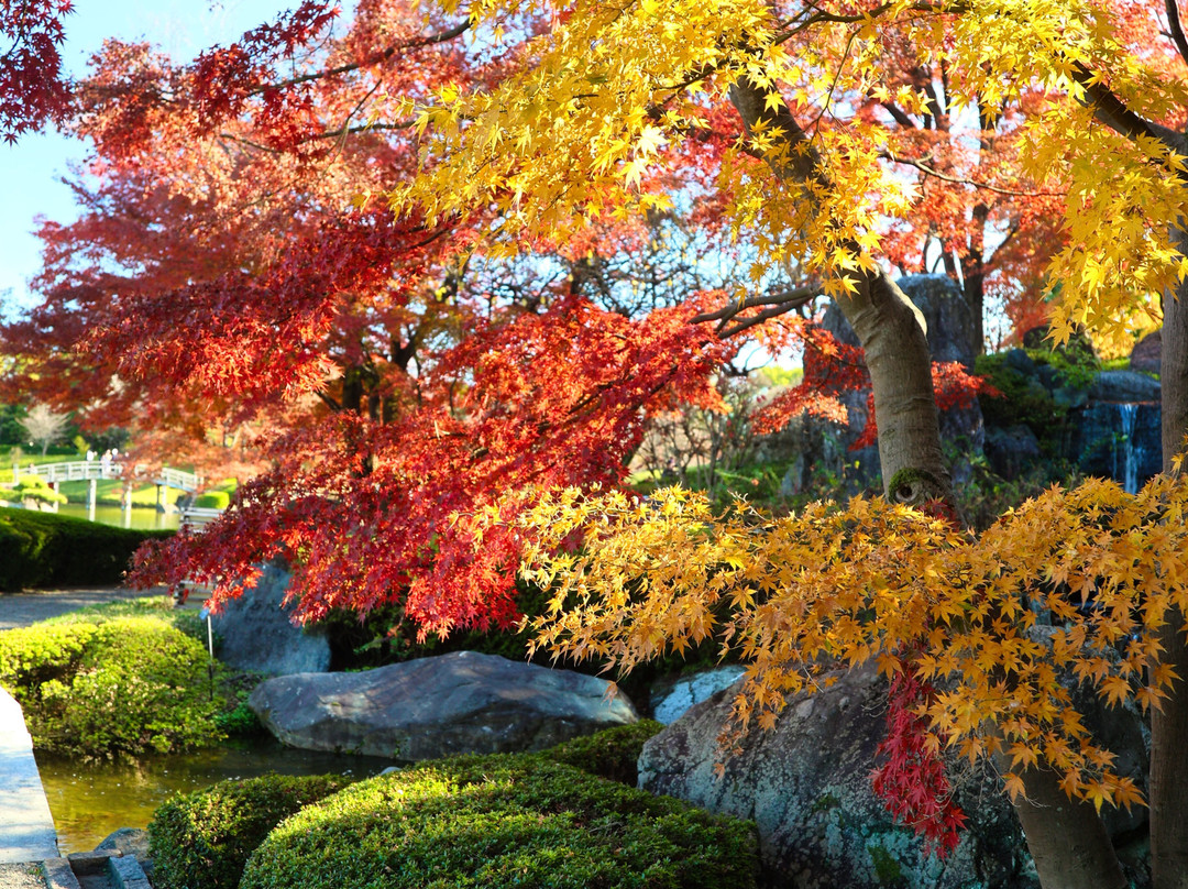 Hanataen Garden-越谷市必去景点