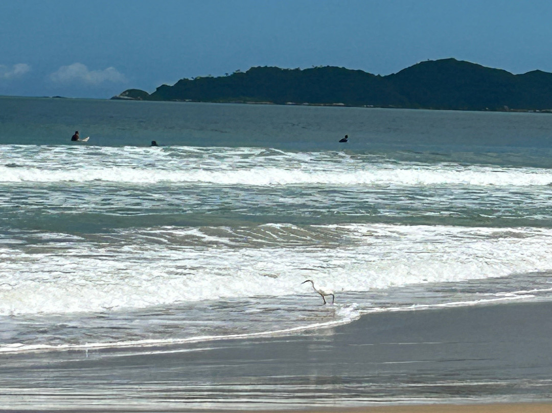 Praia dos Açores-弗洛里亚诺波利斯必去景点