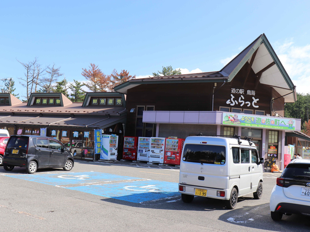Chokai Michi-no-Eki景点图片
