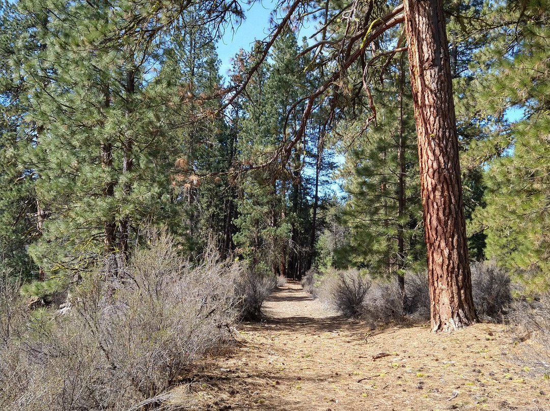 Williamson River Trail-Chiloquin必去景点