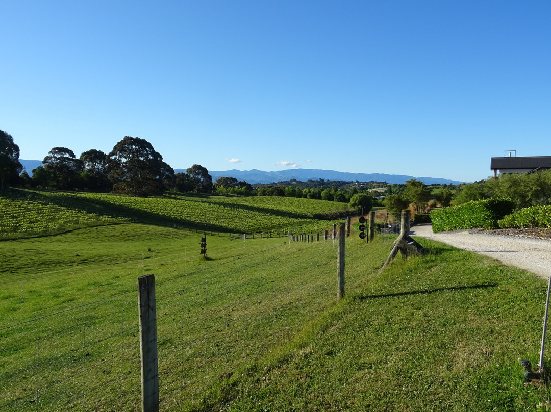 Pine Hill Lodge主图