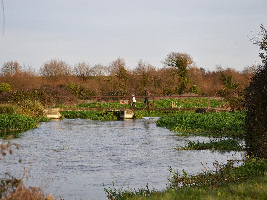 Staines Moor