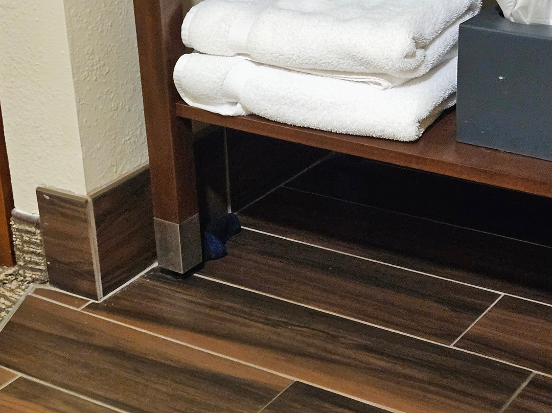 Wingate by Wyndham Clearfield主图