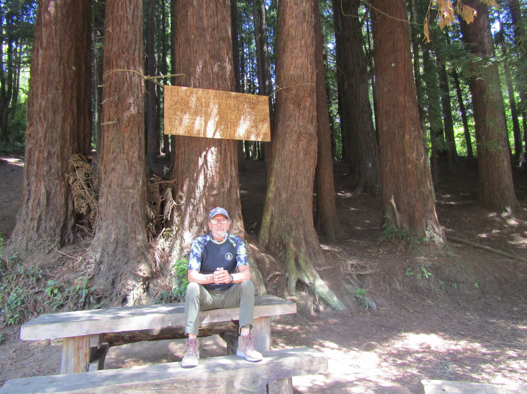 Philippi Park-巴拉斯港必去景点