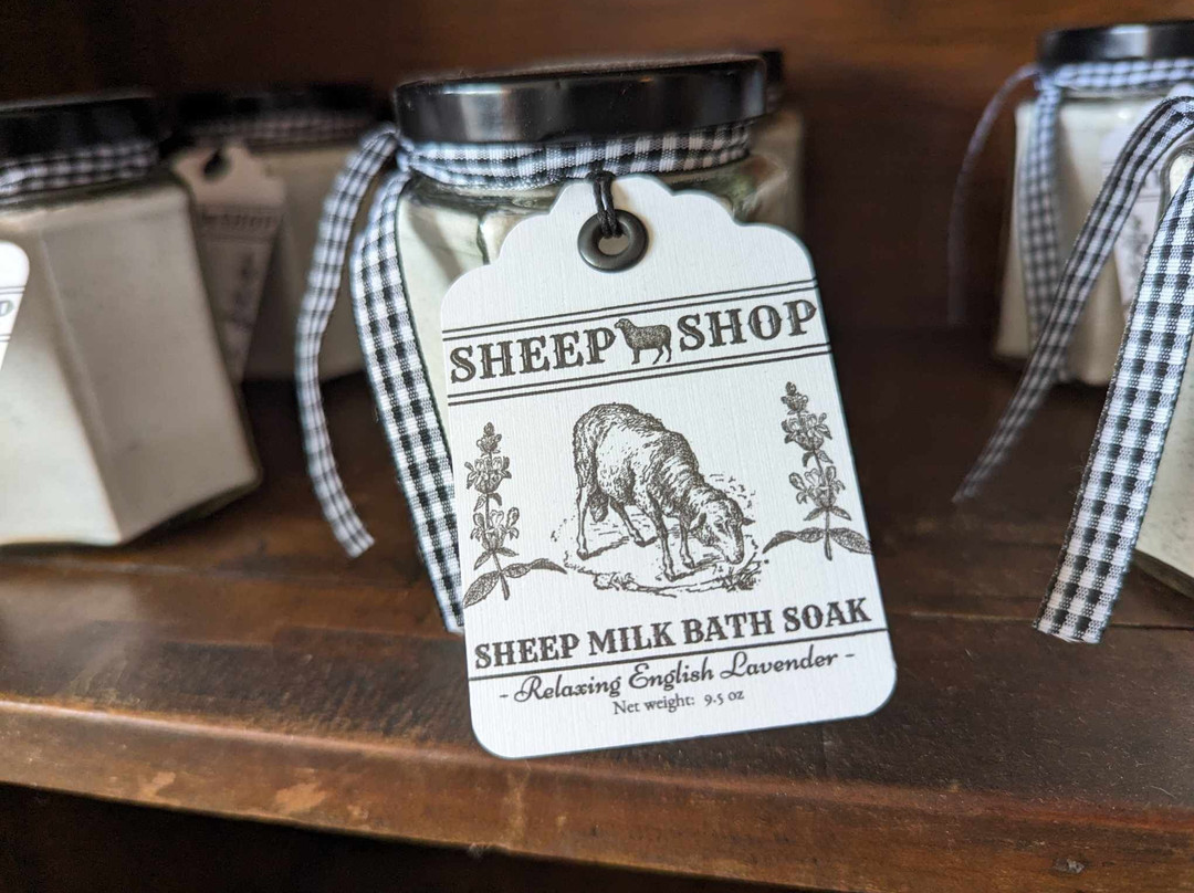 Sheep Shop-Woodbury必去景点