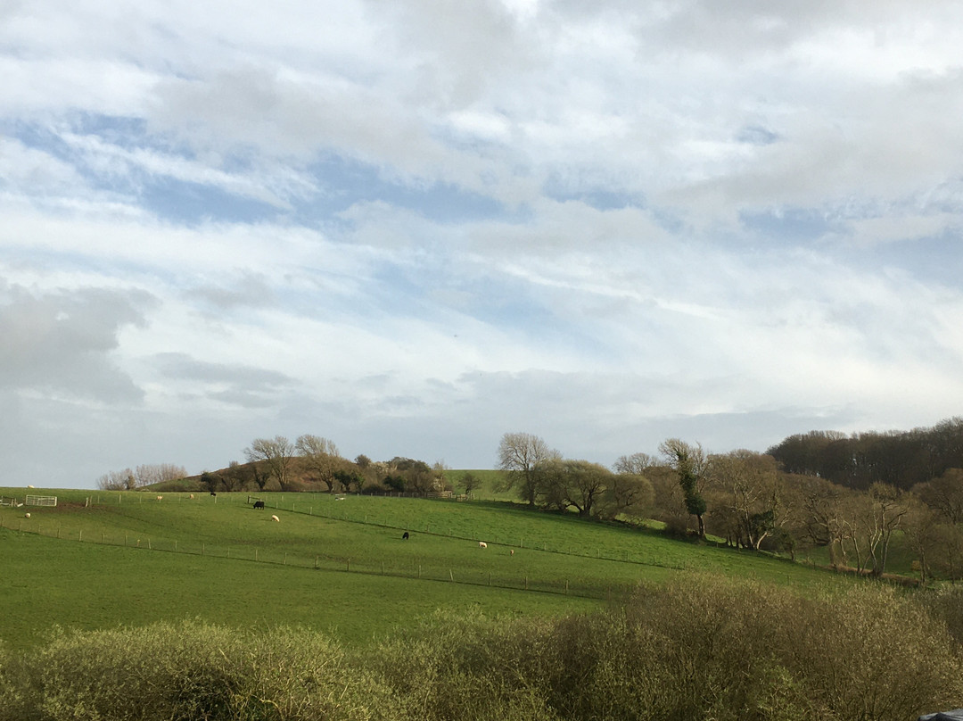 Godshill Park Barn主图
