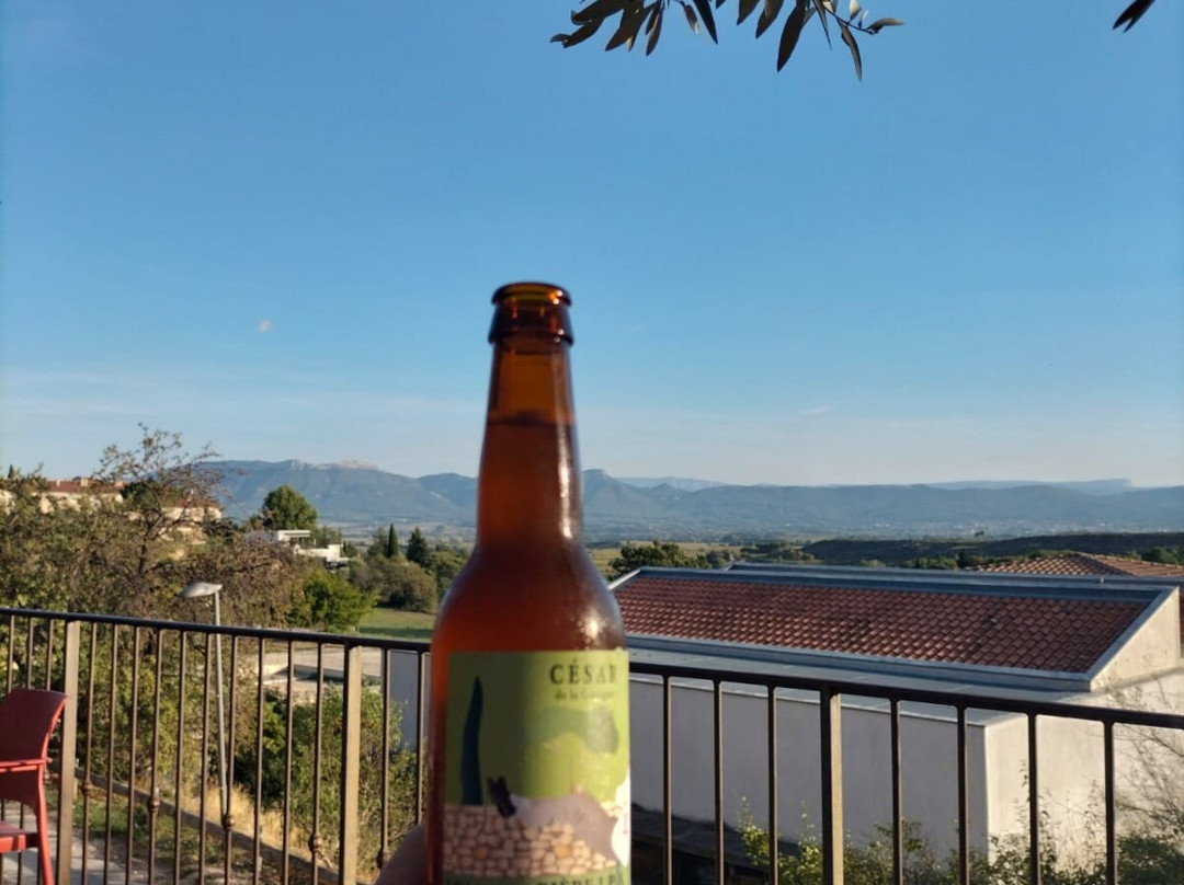 Happy Day In Provence景点图片