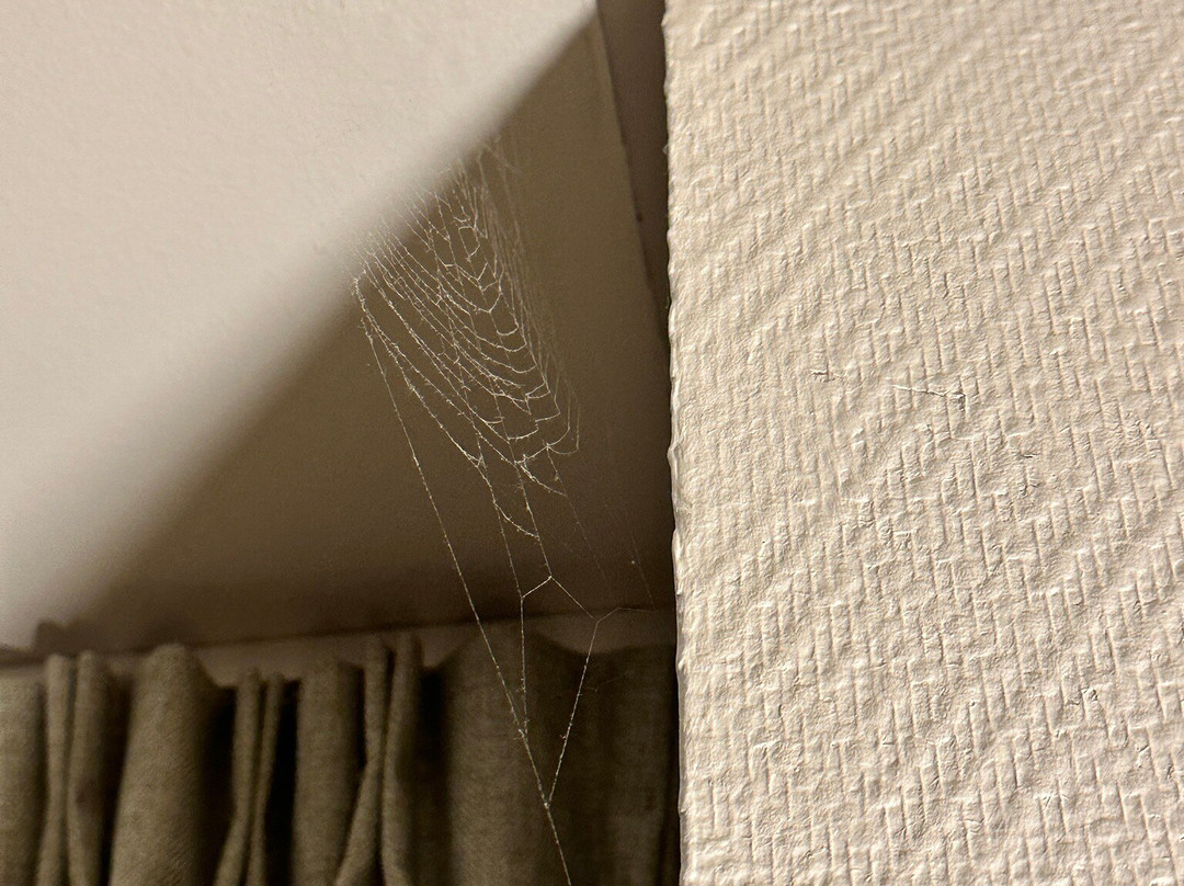 Bernstein Salzland Center主图