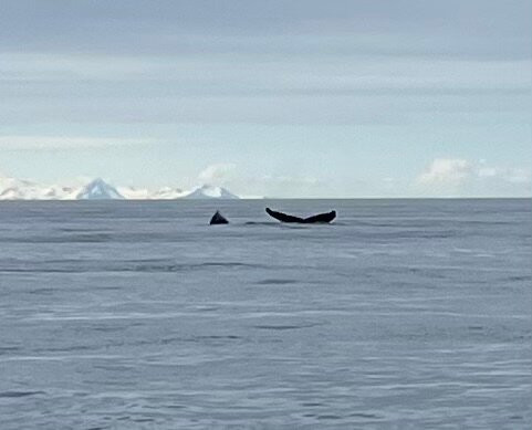 Alaskan Majestic Fishing Charters-Kasilof必去景点