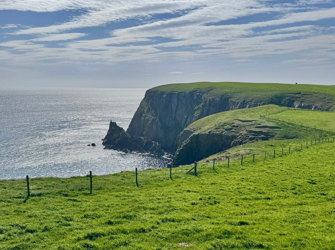 RSPB Mull of Galloway景点图片