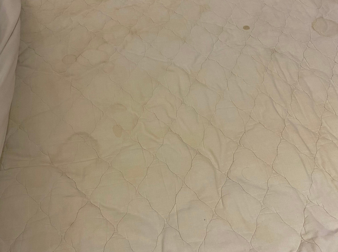 赛达拉精品海滩度假村主图