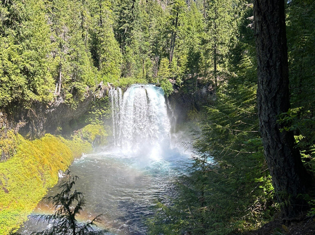 Sahalie and Koosah Falls-Sisters必去景点
