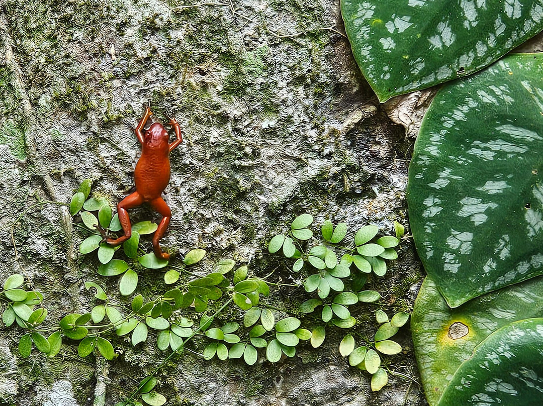 Life & Culture Travel-旧港必去景点