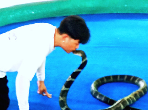 Thai travel no limit Chiang Mai-清迈必去景点