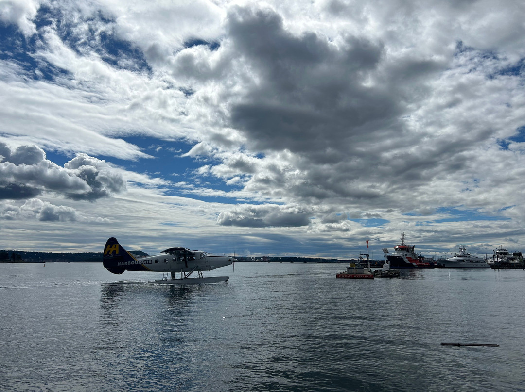 Maffeo Sutton Park-纳奈莫必去景点