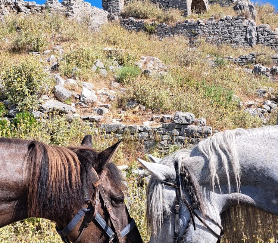 Caravan Horse Riding Albania景点图片