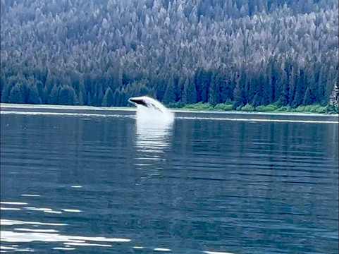 Alaska Shore Excursions-朱诺必去景点