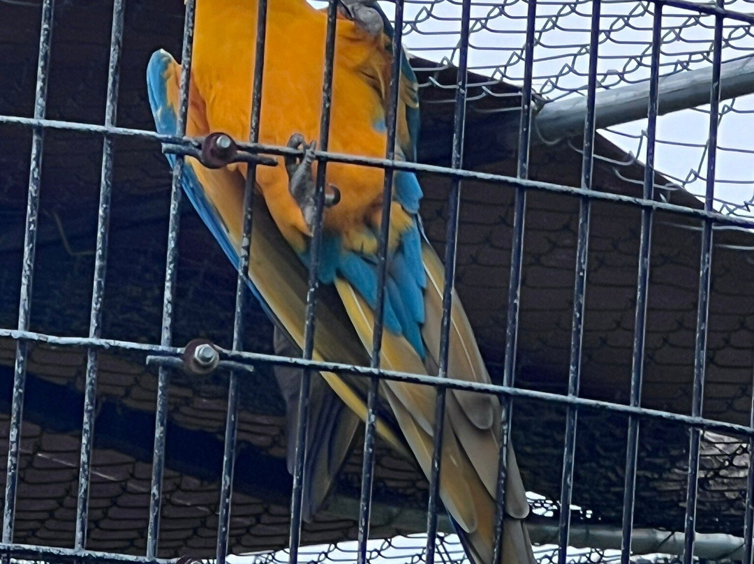 Kisma Preserve-Trenton必去景点