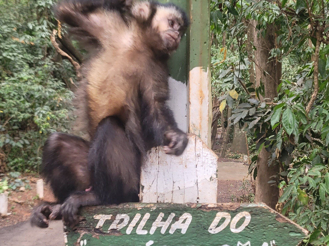 Biologa Tania Mara Netto Silva Ecological Park景点图片