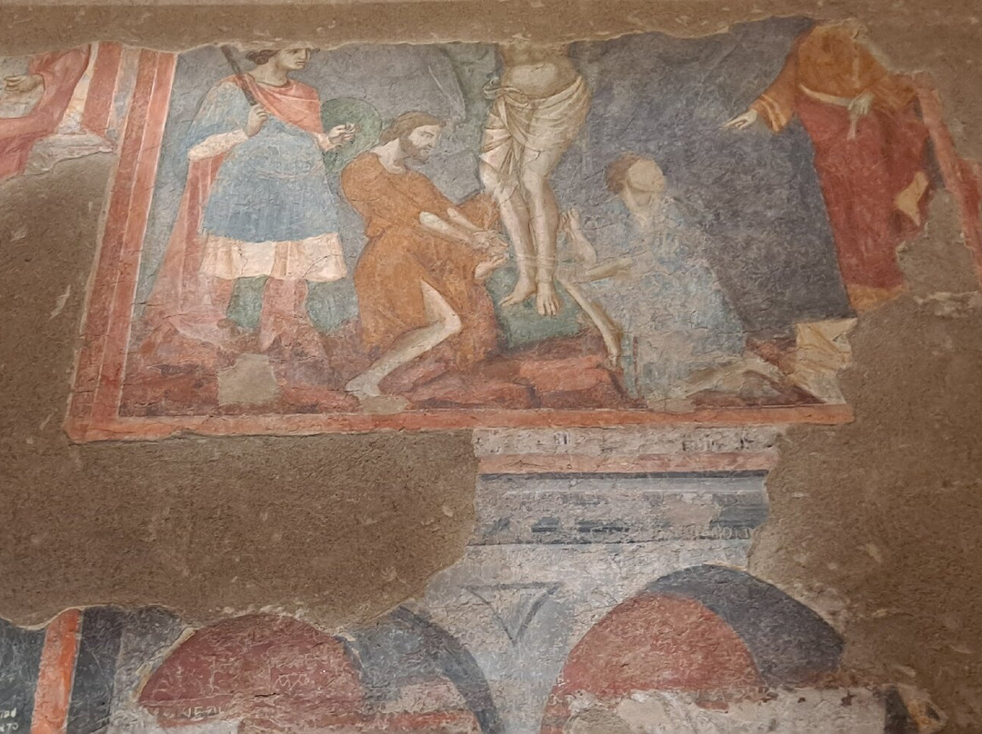 Palazzo dei Vescovi景点图片