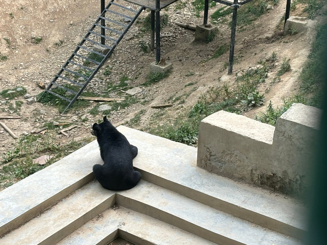 Himalayan Nature Park-Kufri必去景点