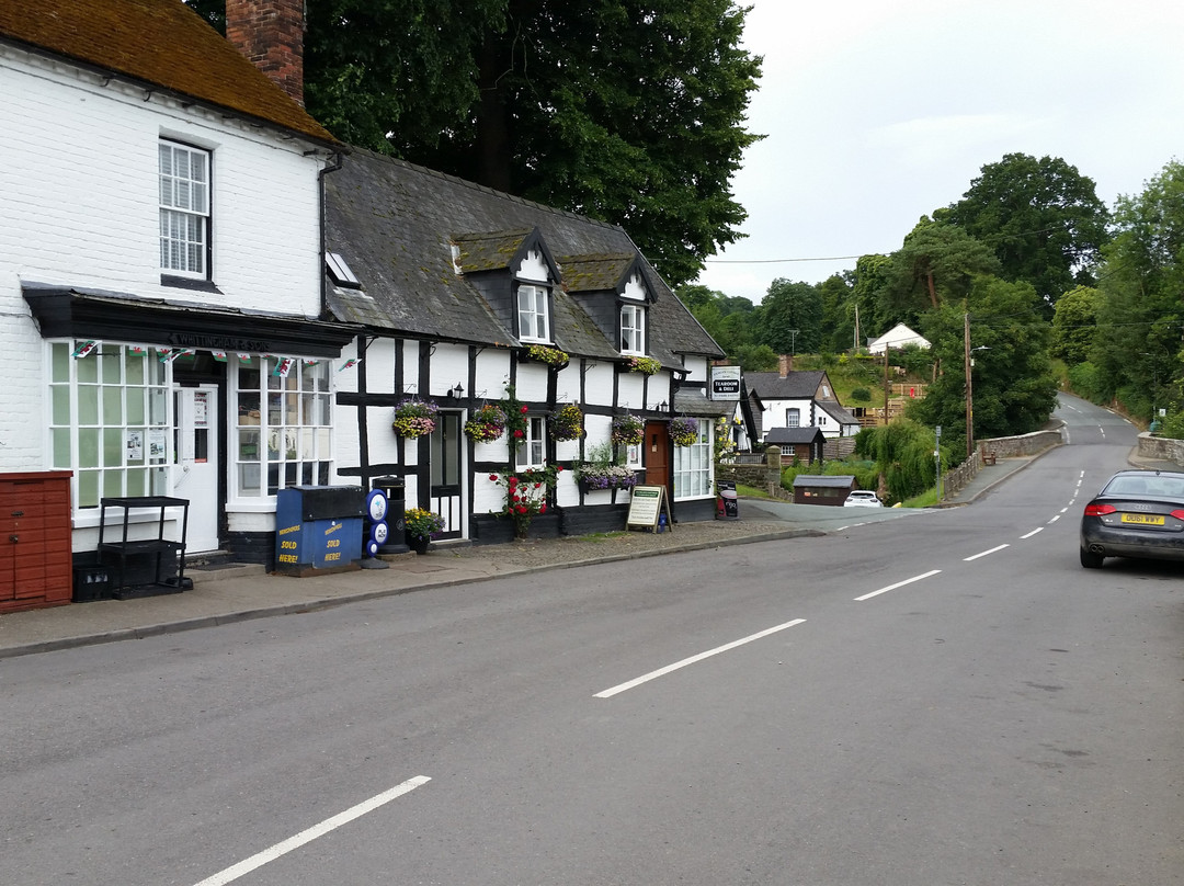 The Lion Hotel