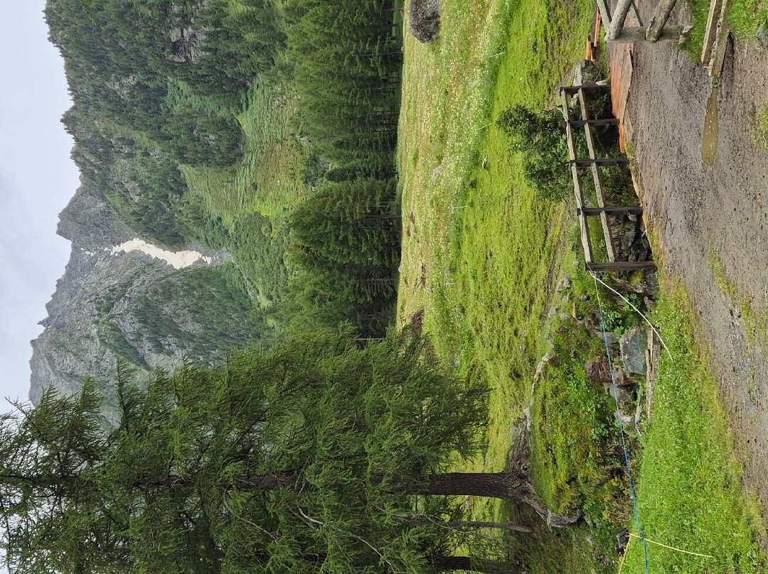 Cascate Di Mascognaz景点图片