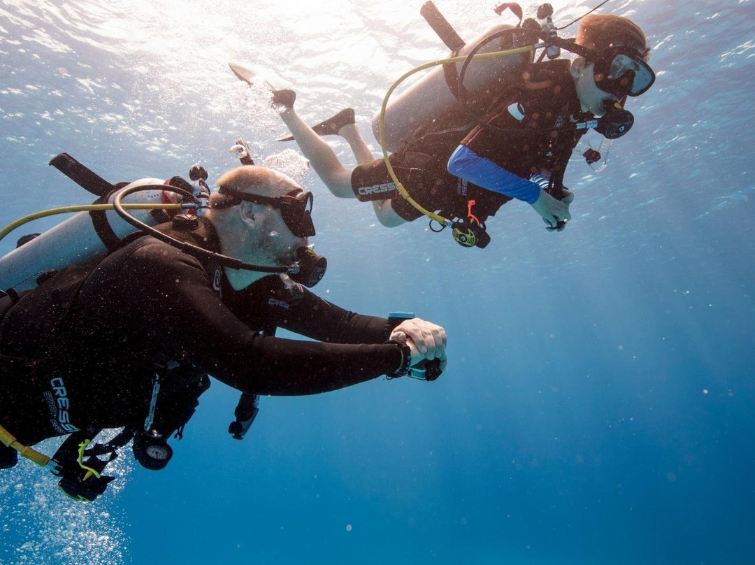 PADI 5 Star Dive Center Crete景点图片