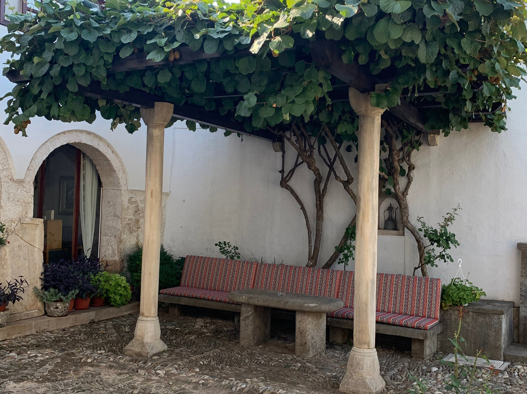 Bosnian National Monument Muslibegovic House Hotel主图