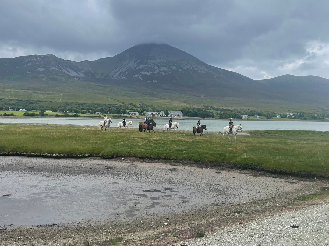 Croagh Patrick Stables-Murrisk必去景点