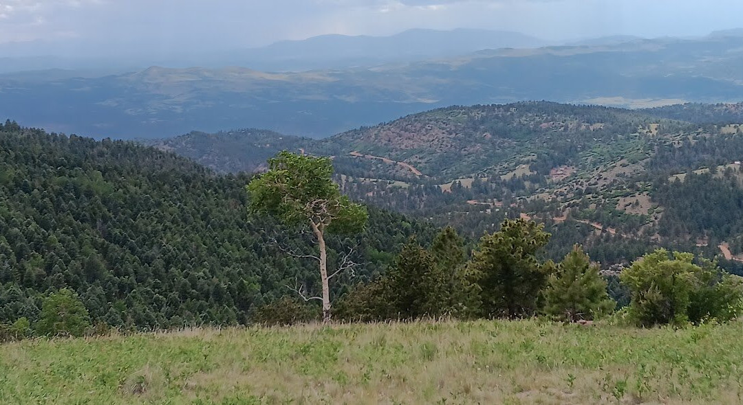 Rita the Rock Planter-Victor必去景点