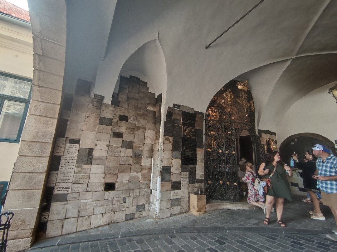 Free Spirit Tours Zadar-扎达尔必去景点