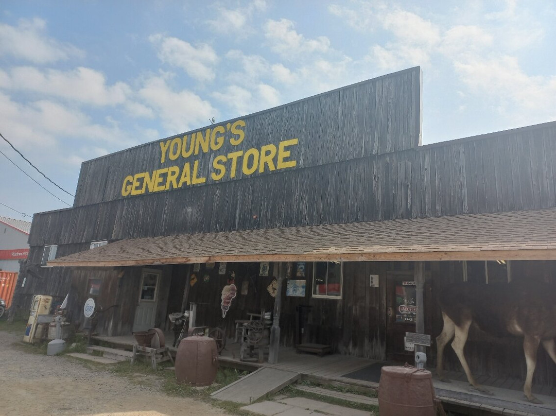 Young's General Store景点图片