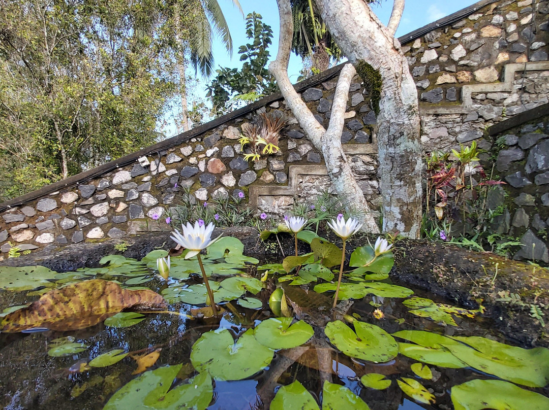 可不内别墅主图