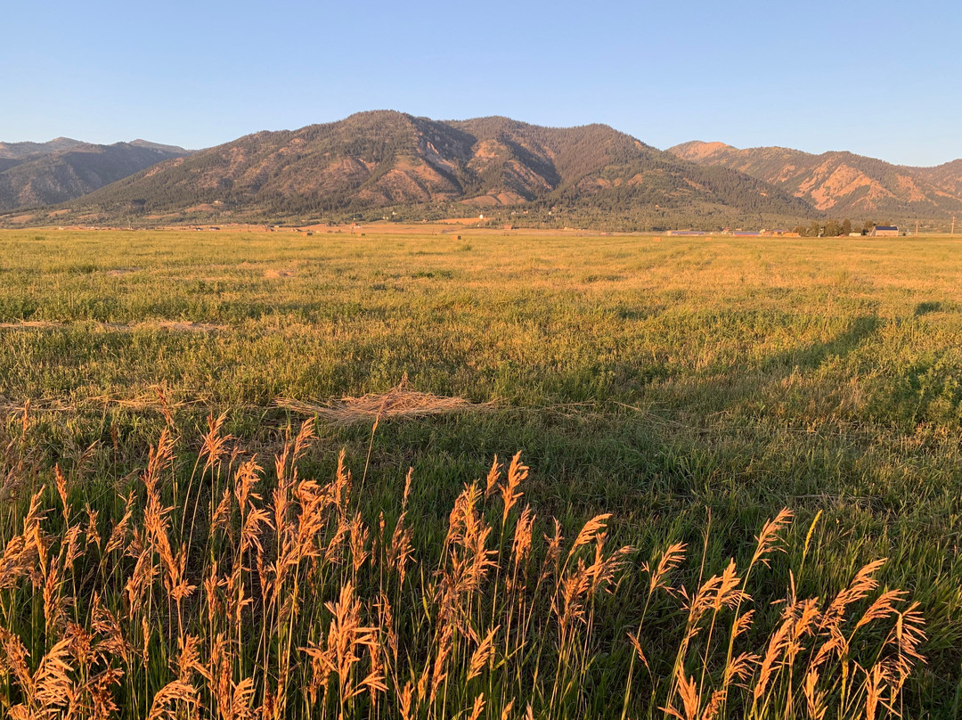 Wolf Den Log Cabin Motel & RV Park主图