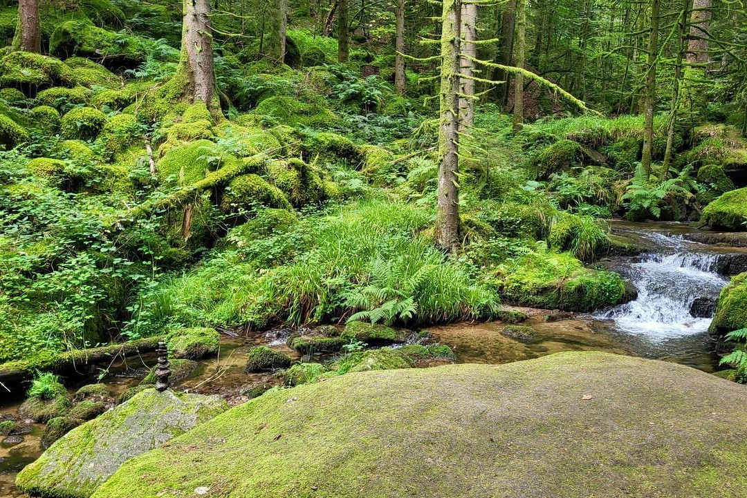 Gertelbach-Wasserfälle-Buehlertal必去景点