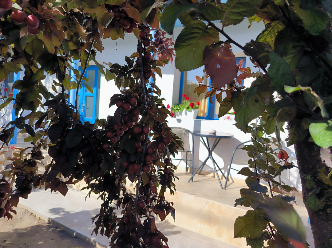 Casa Lui Matei Murighiol