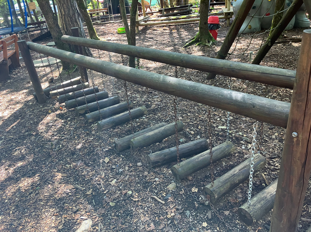 Dino Park Bled景点图片
