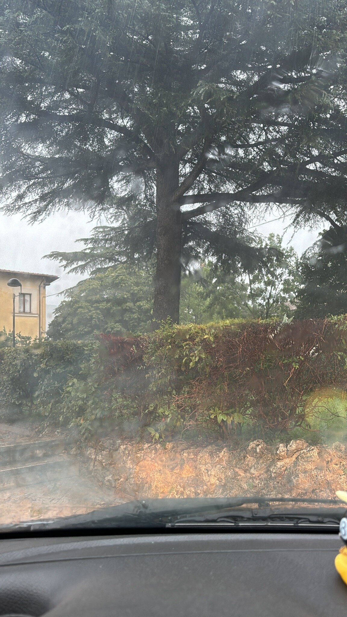 B&b Il Pizzagiallo-官方