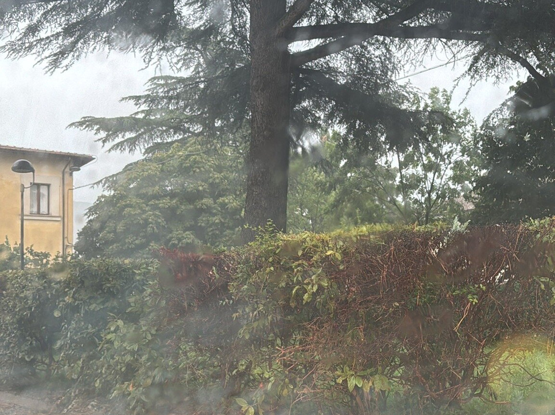 B&b Il Pizzagiallo主图