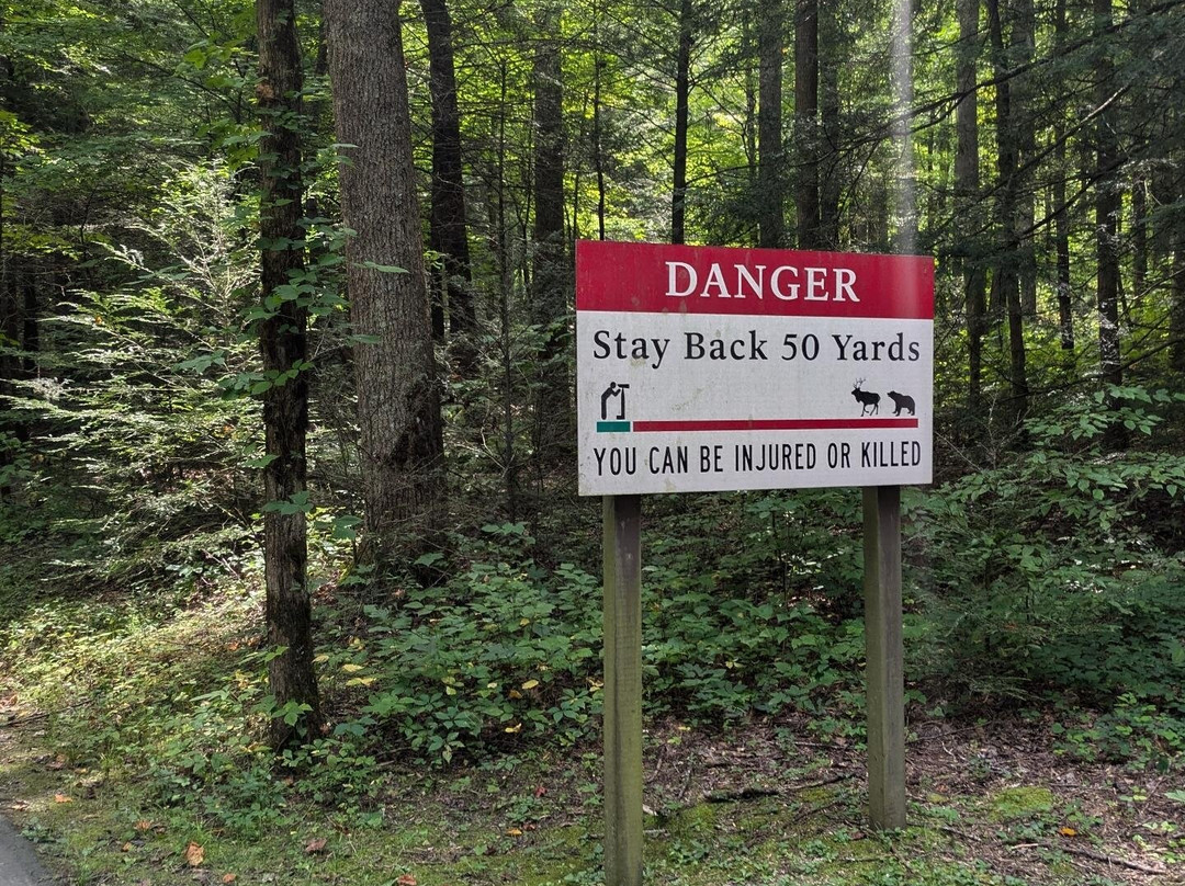 Cades Cove Visitor Center-大雾山国家公园必去景点