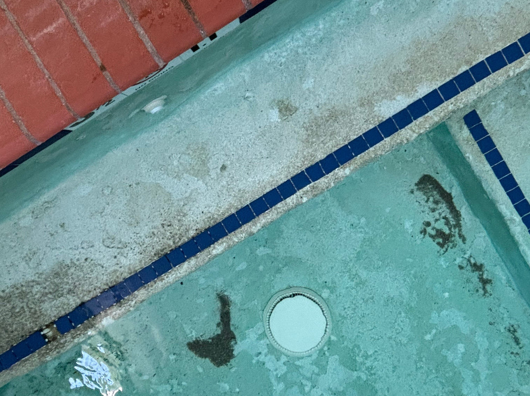 Staybridge Suites Rocklin - Roseville Area by IHG主图