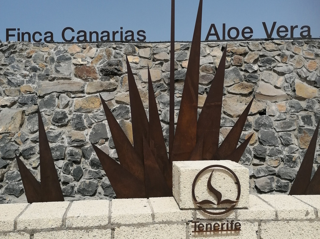 Finca Canarias Aloe Vera-阿罗纳必去景点
