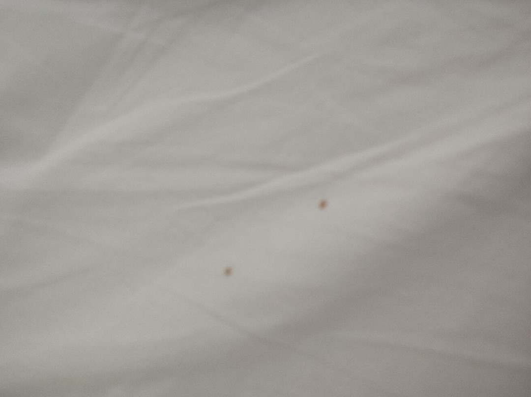 罕布什尔酒店主图