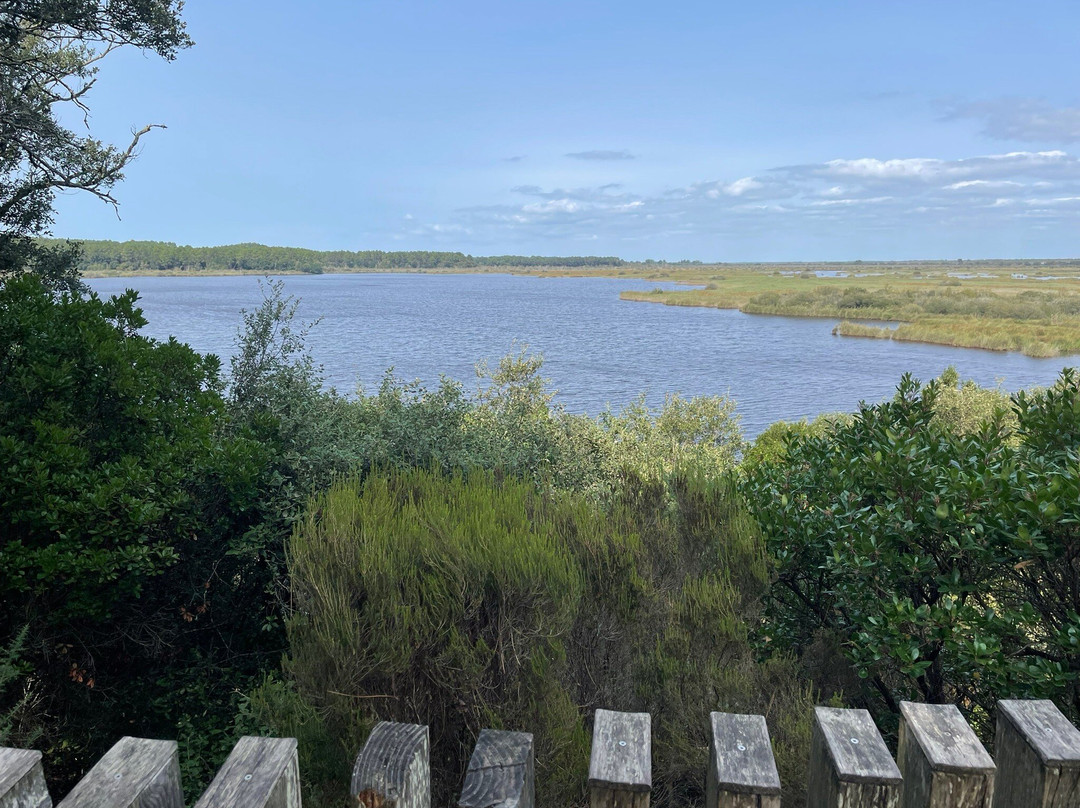 Réserve Naturelle De l'Etang De Cousseau景点图片