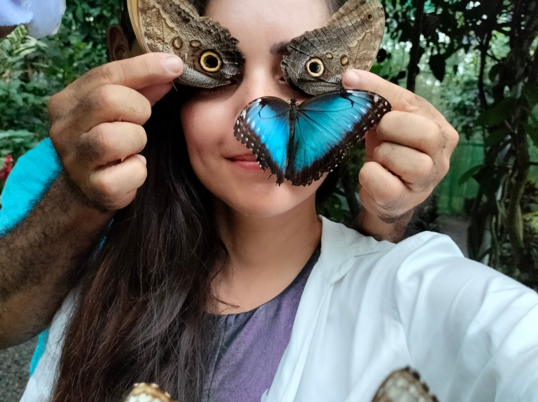 Mariposario Alas del Destino景点图片