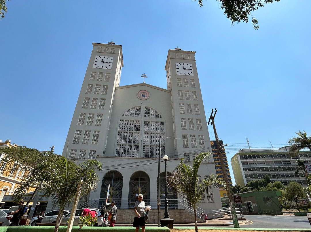 Cathedral Basilica of the Good Lord Jesus景点图片